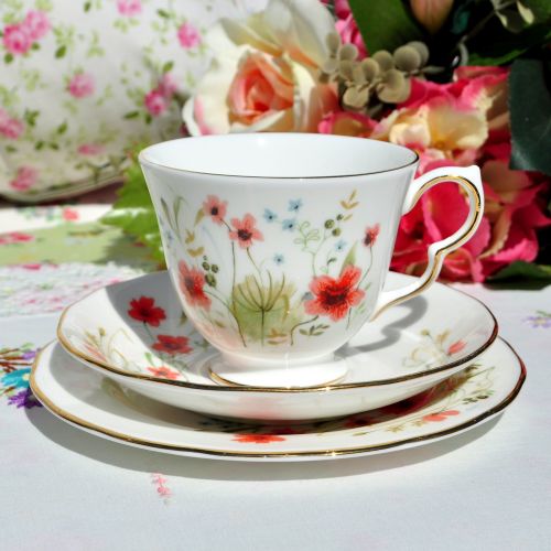 Colclough Meadow Pattern Teacup Trio