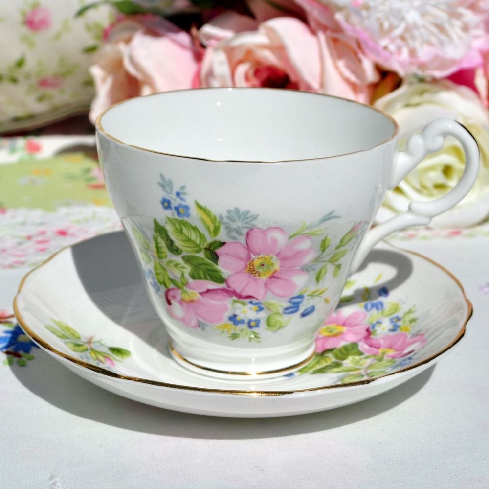 Argyle Pink Rose Teacup and Saucer