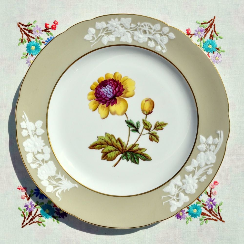 Spode Lady Blessington Anemone Stone Y7195 27cm Plate