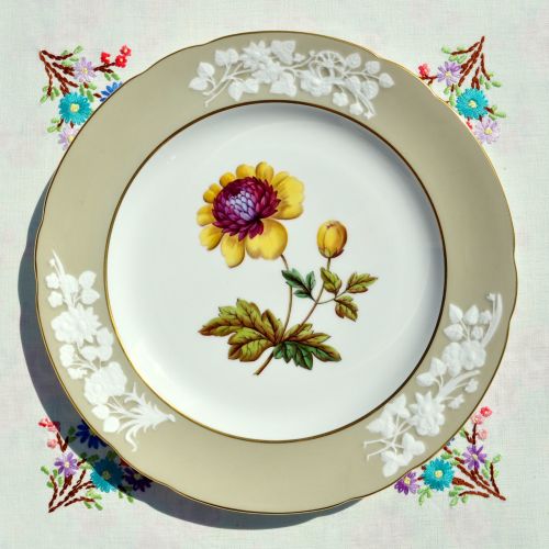 Spode Lady Blessington Anemone Stone Y7195 27cm Plate