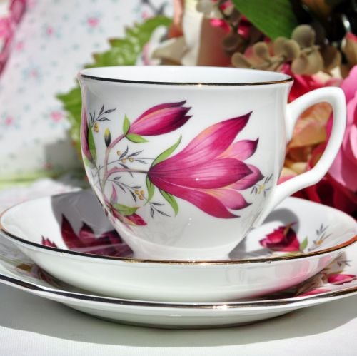 Duchess Tulip Tree Teacup Trio