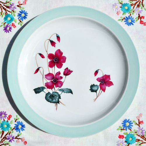 Burleigh Ware Edinburgh Pattern 1960's Retro 22.5cm Plate