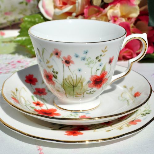Colclough Meadow Pattern Teacup Trio
