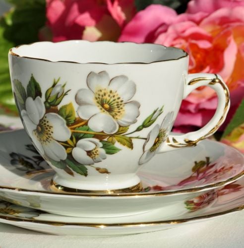 Delphine White Rose Vintage China Teacup Trio c.1950s