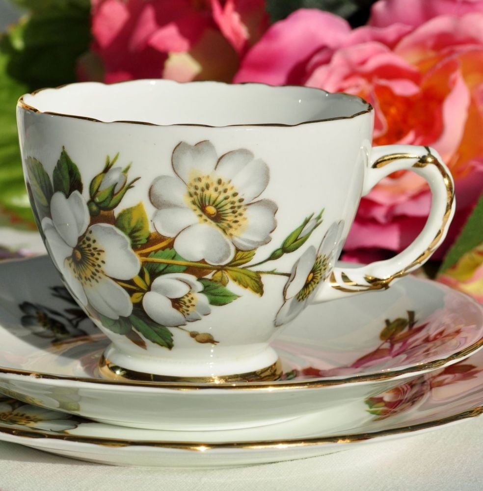 Delphine White Rose Vintage China Teacup Trio c.1950s