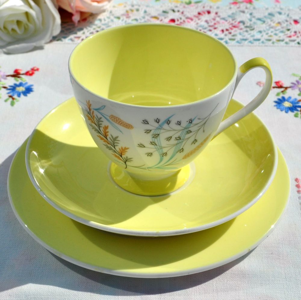 Queen Anne Glade Yellow Teacup Trio c.1950's