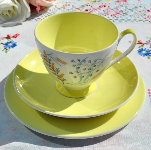 Queen Anne Glade Yellow Teacup Trio c.1950's