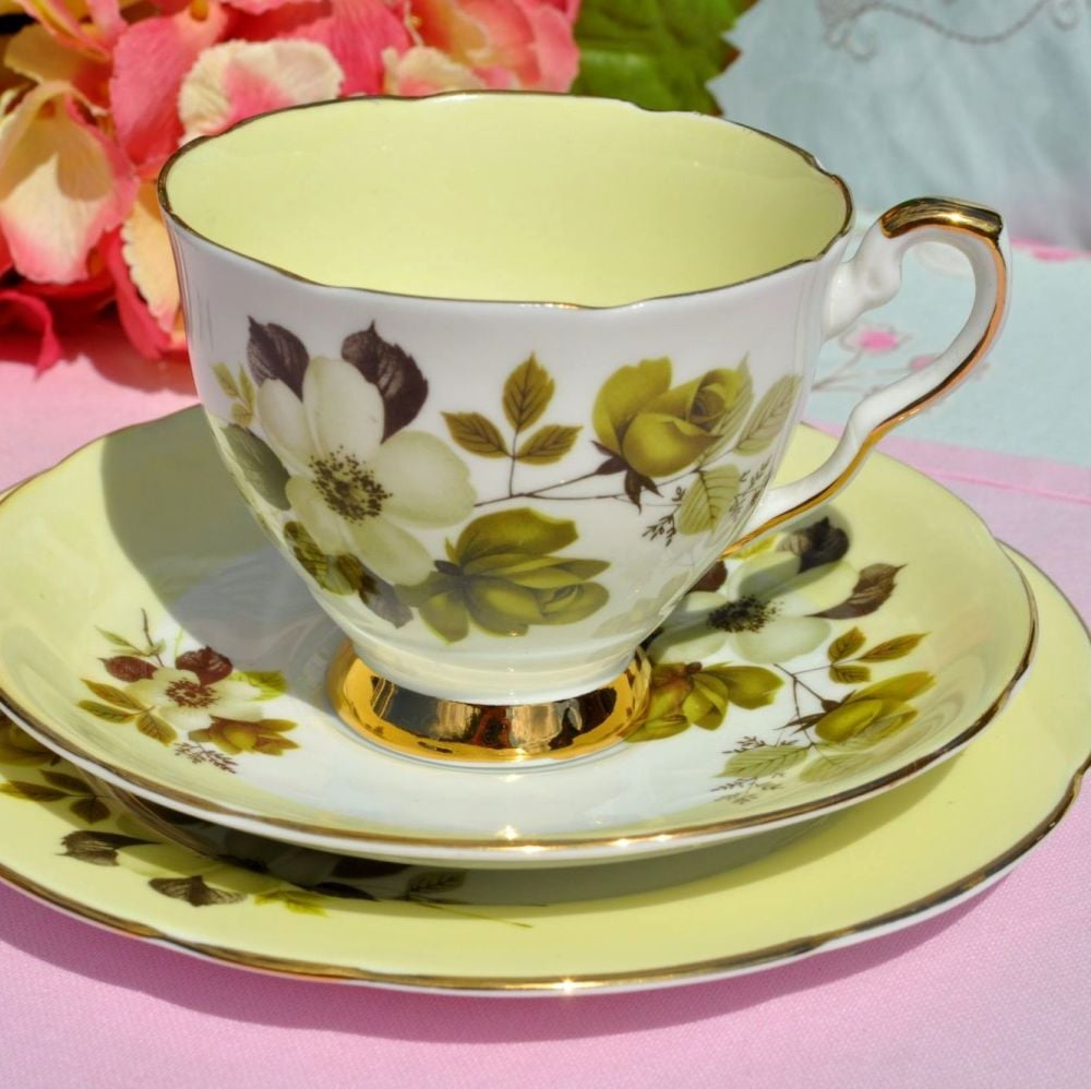 Royal Stafford Cream Tea Floral Teacup Trio c.1950s