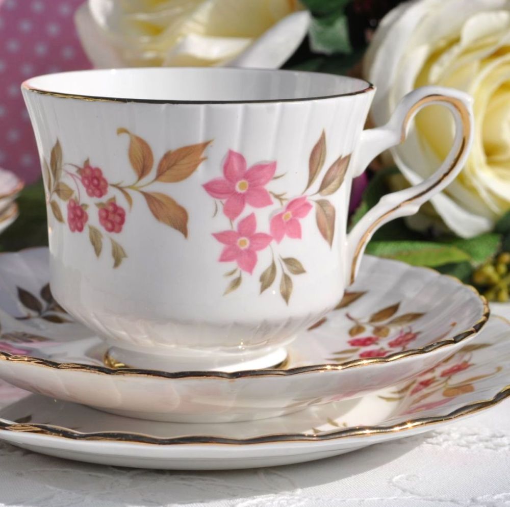 Royal Stafford Fragrance Vintage China Teacup, Saucer and Tea Plate Trio