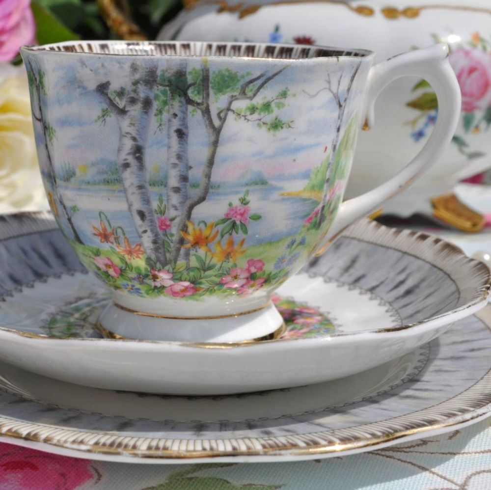 Silver birch deals china