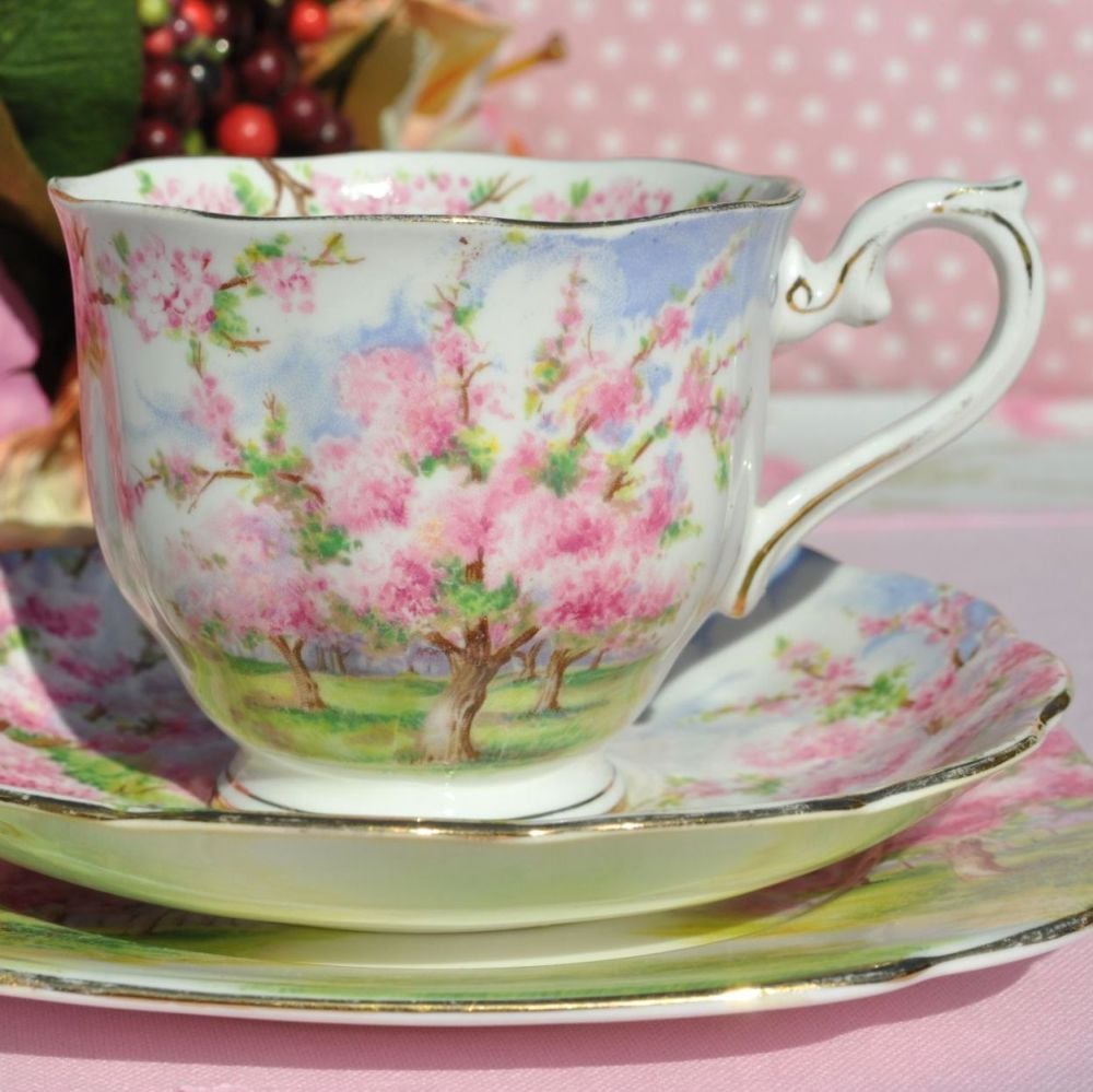 Royal Albert Blossom Time Teacup Trio Crown China Reg. No. 799933 c.1935