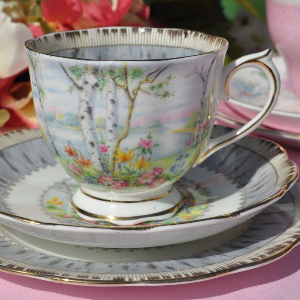 Royal Albert Silver Birch Vintage Tea Cup Trio c.1930s