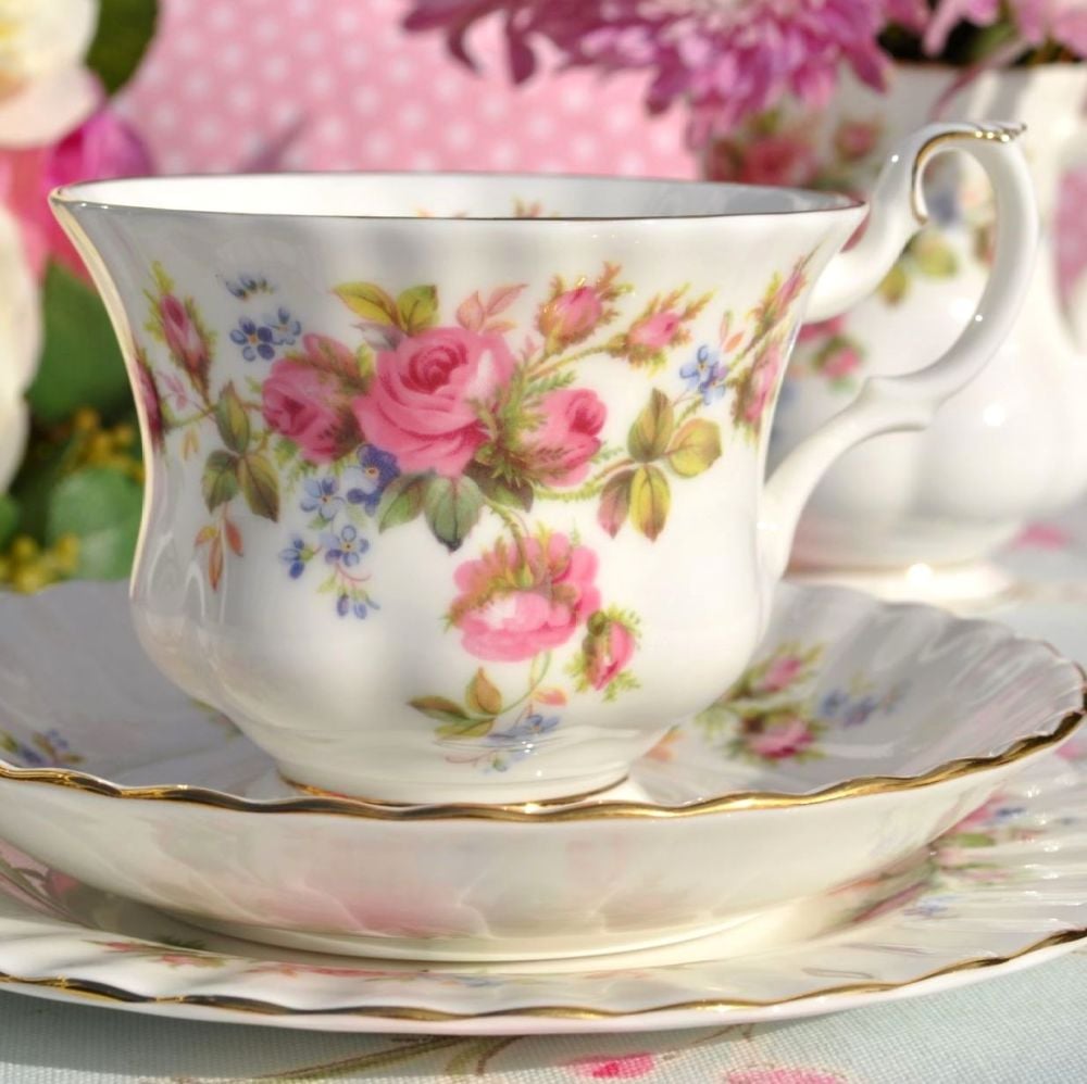 Royal Albert Moss Rose Vintage Bone China Teacup Trio c.1962