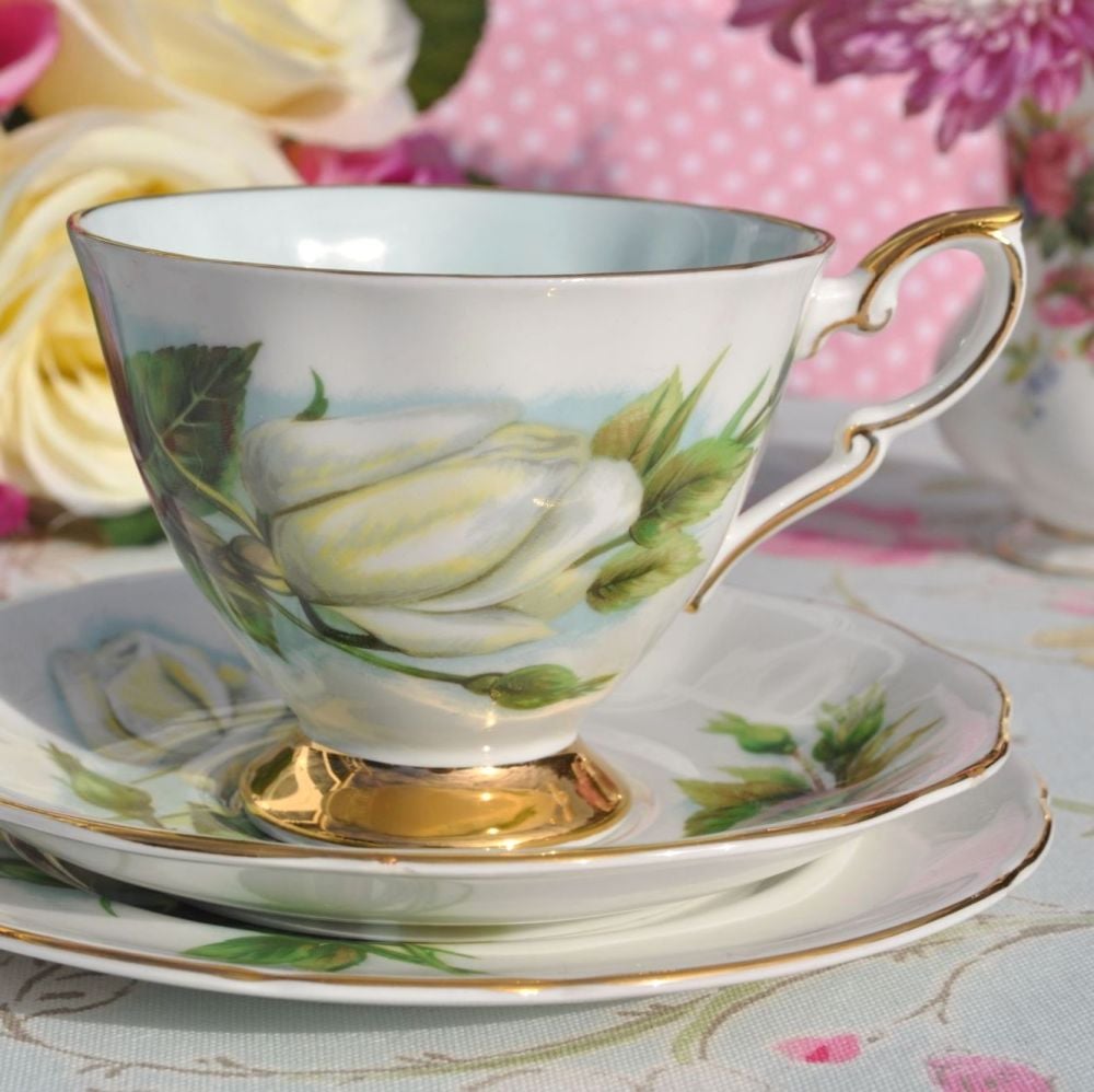 World Famous Roses Virgo Pattern Vintage China Teacup Trio c.1960's