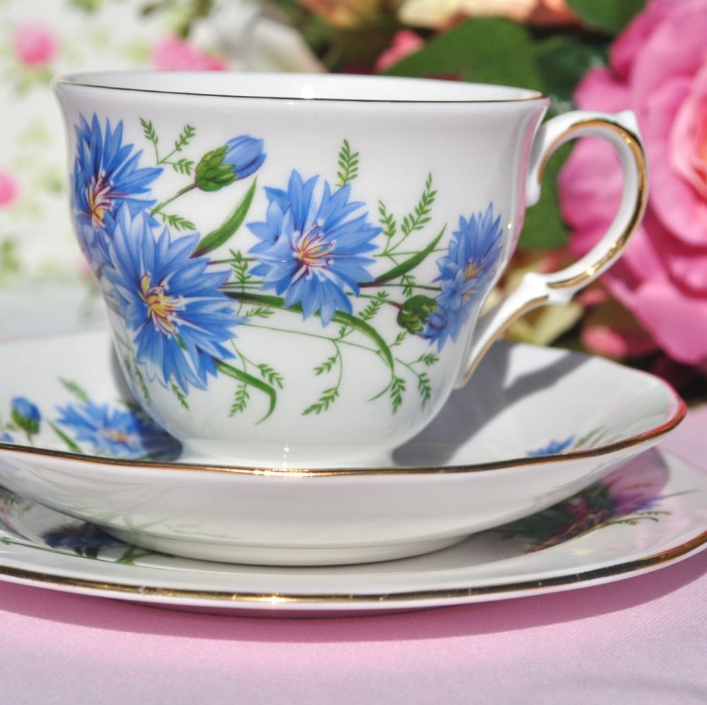 Queen Anne Cornflower Blue Vintage Bone China Tea Cup Trio