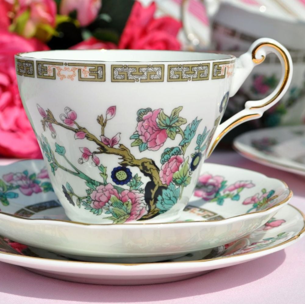 Regency Indian Tree Bone China Vintage Tea Cup Trio