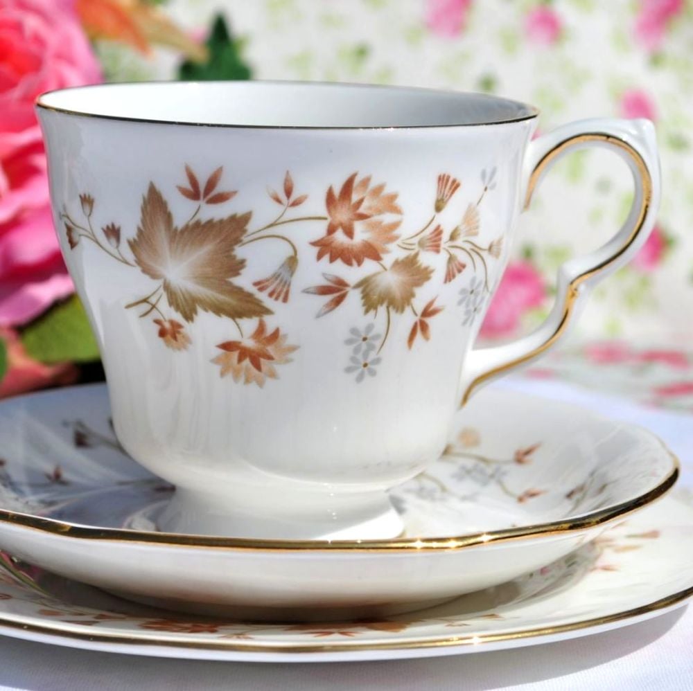 Colclough Avon Vintage Bone China Footed Teacup Trio c.1960s