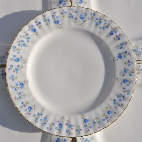 Royal Albert Memory Lane Bone China Vintage 21cm Tea Plates Set of Six