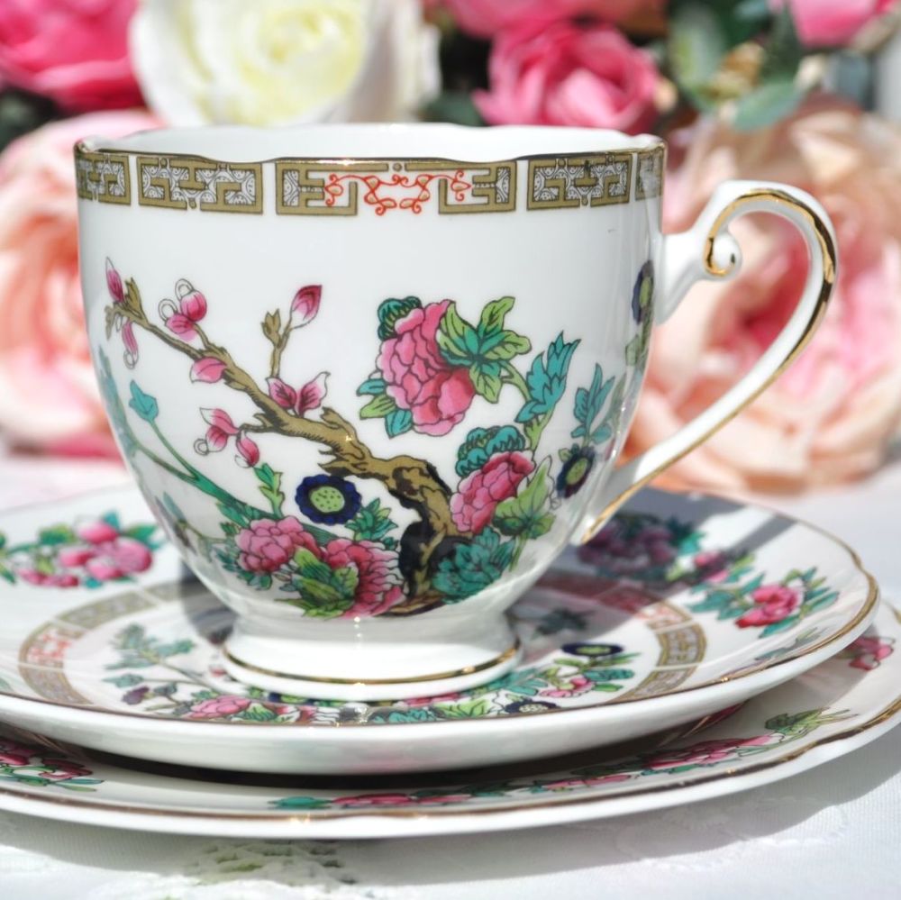 Royal Grafton Indian Tree Tea Cup Trio