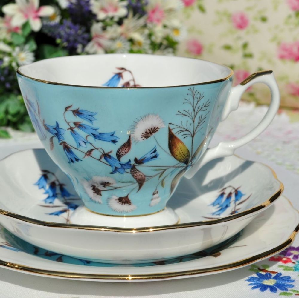 Royal Albert Festival Teacup Trio
