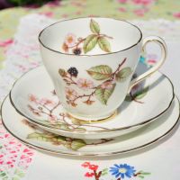 Adderley Bramble Blossom Teacup Trio