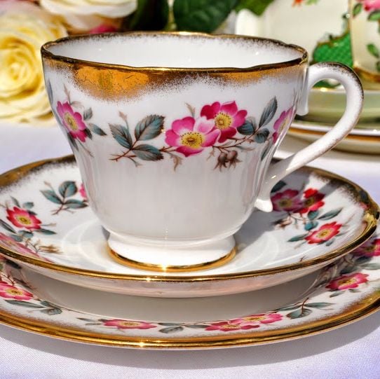 Salisbury Wild Pink Rose Vintage Teacup, Saucer and Tea Plate Trio with Spo