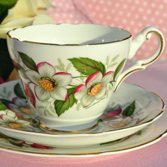 Regency Vintage English Bone China Breakfast Teacup Trio c.1950's