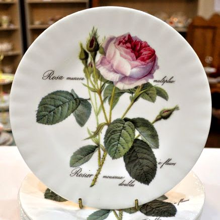 Roy Kirkham Redoute Rose New Fine China 20cm Plate