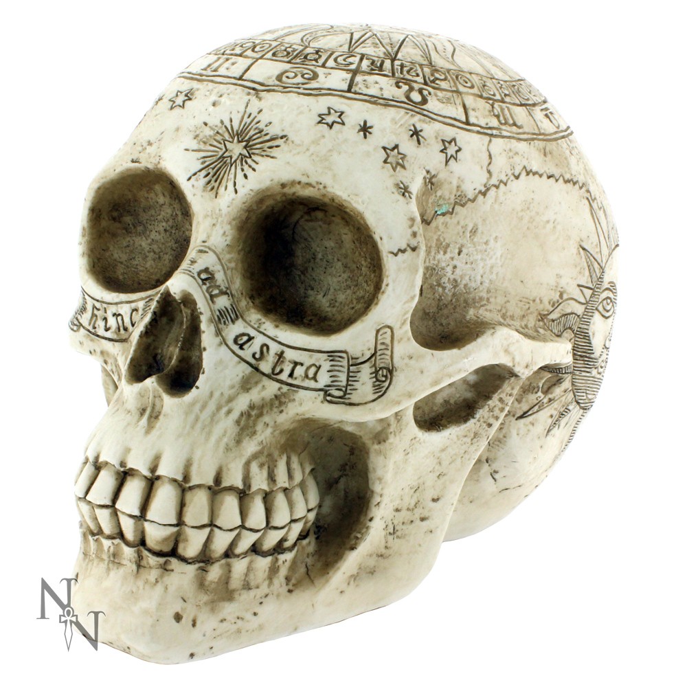 Astrological Skull 