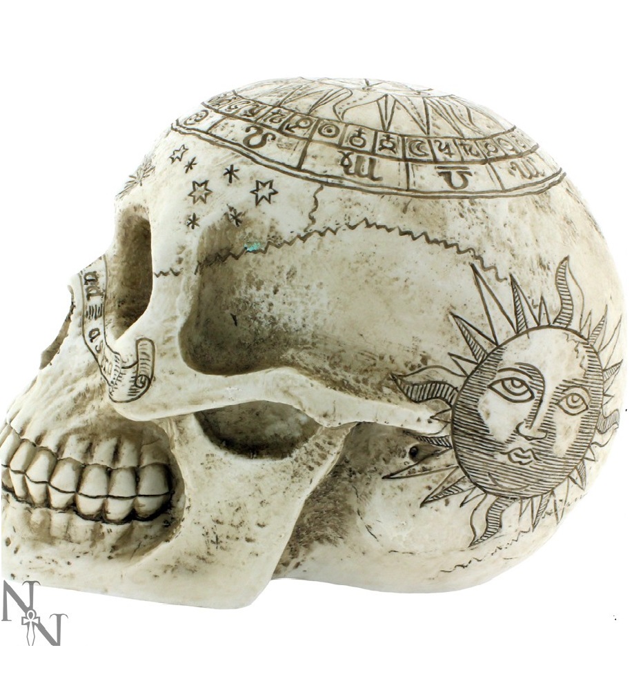 Astrological Skull