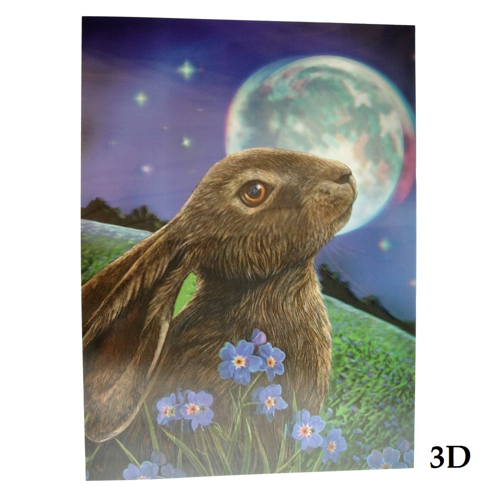 Moongazing Hare 3D Picture By Lisa Parker