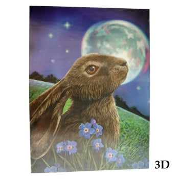 Moon Gazing Hare 3D Picture By Lisa Parker