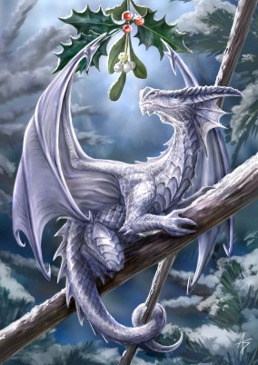 Snow Dragon By Anne Stokes