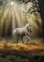 Glimpse Of A Unicorn By Anne Stokes