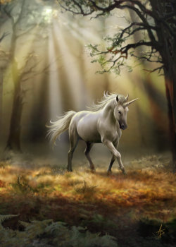 Glimpse Of A Unicorn By Anne Stokes