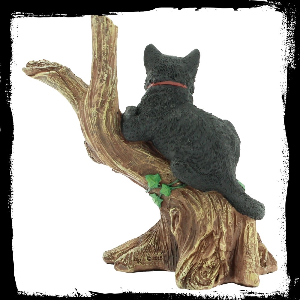 Onyx  - Cats of the Coven
