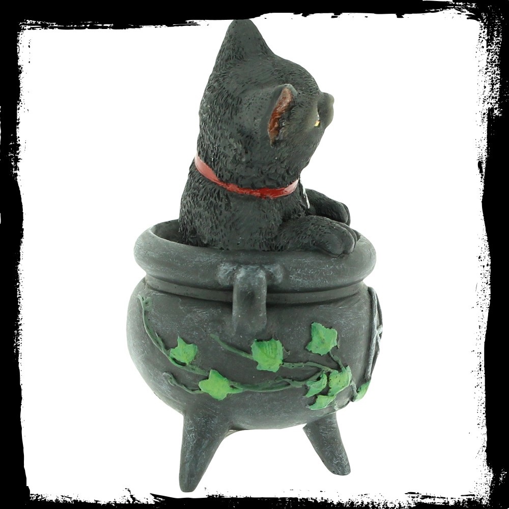 Smudge - Cats of the Coven