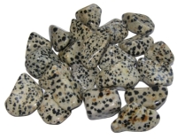 Dalmatian Jasper Tumblestone Crystal & Information Card Set