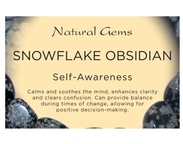 Snowflake Obsidian Tumblestone Crystal & Information Card Set