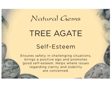 Tree Agate Tumblestone Crystal & Information Card Set