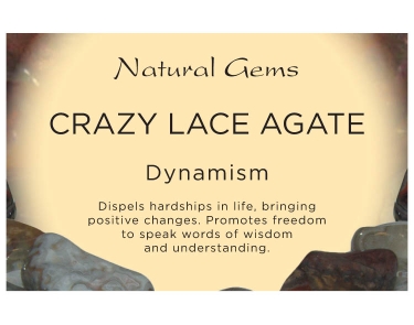 Crazy Lace Agate Tumblestone Crystal & Information Card Set