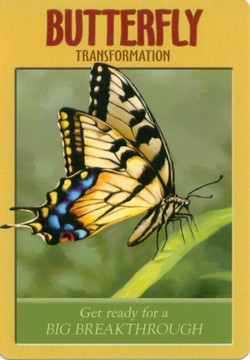 Power Animal Oracle Card's By Steven Farmer