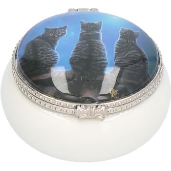 Wish upon a Star Trinket Box By Lisa Parker