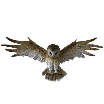 Wisdom Flight - Owl Plaque