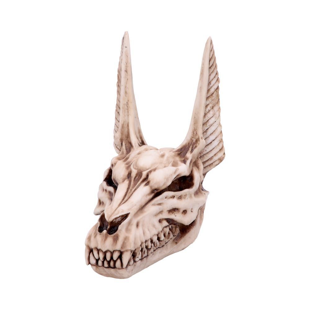 Anubis Jackal Skull - Egyptian God of Death Figurine