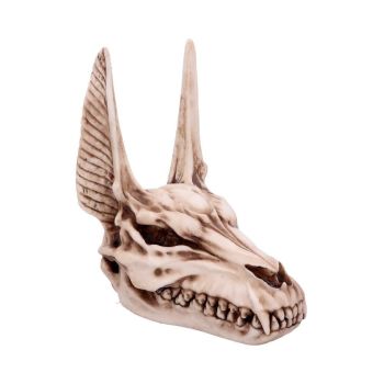 Anubis Jackal Skull - Egyptian God of Death Figurine