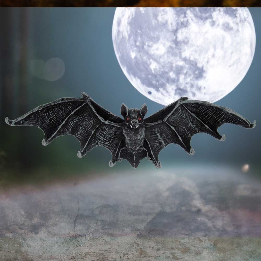 Bats