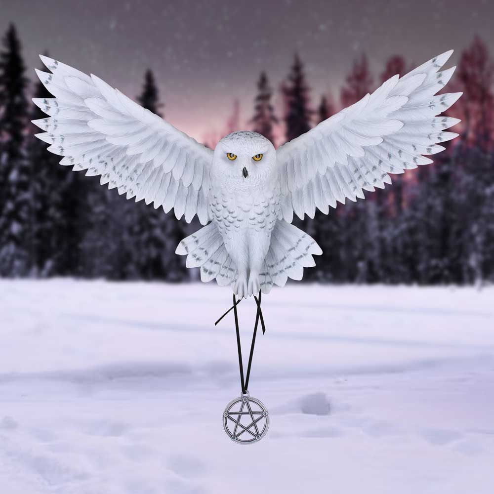 Owls