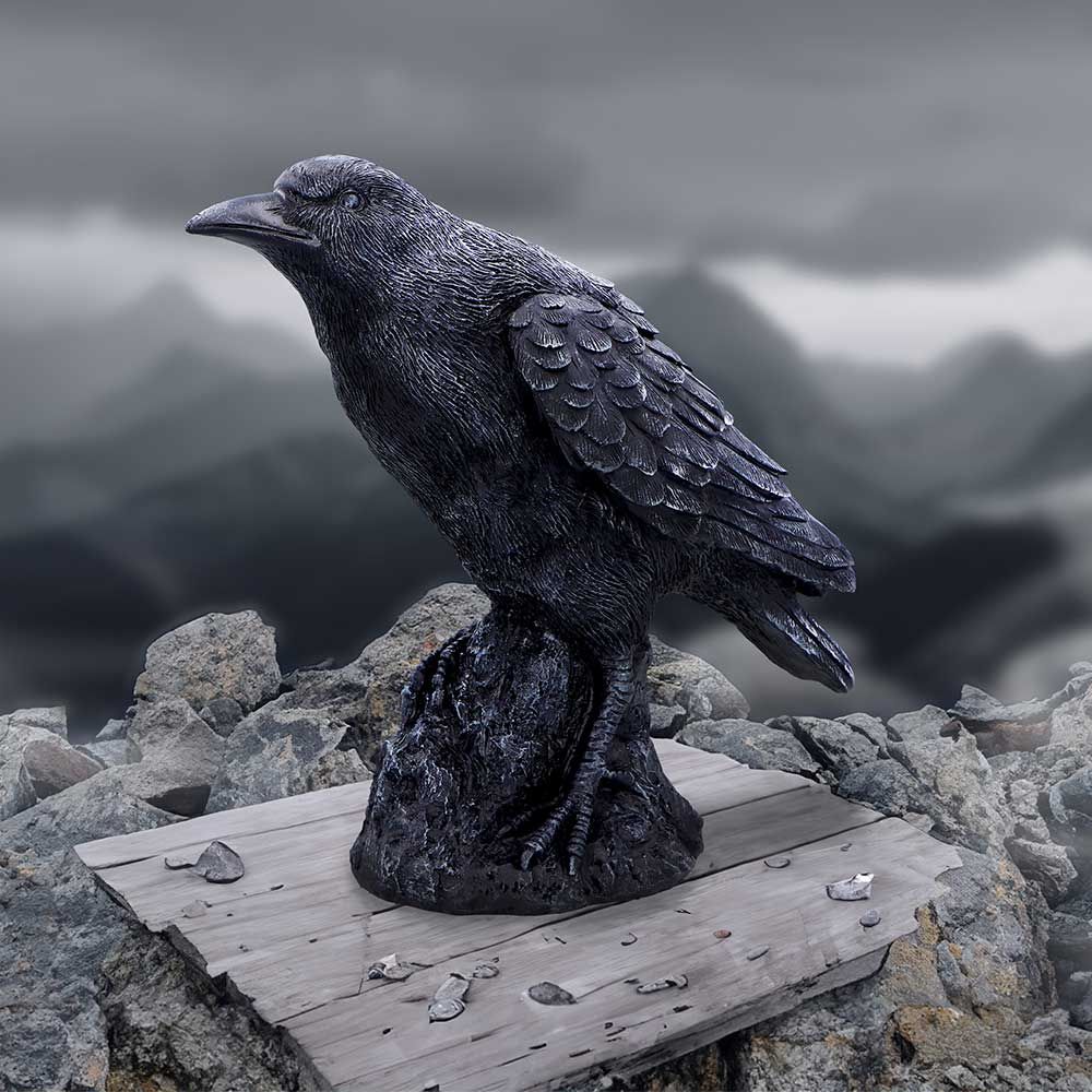 Ravens