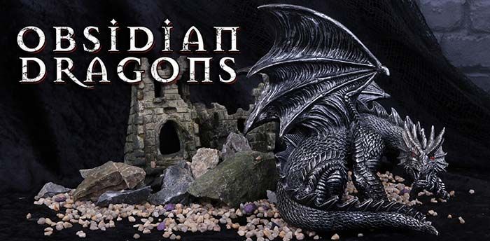 Obsidian Dragons